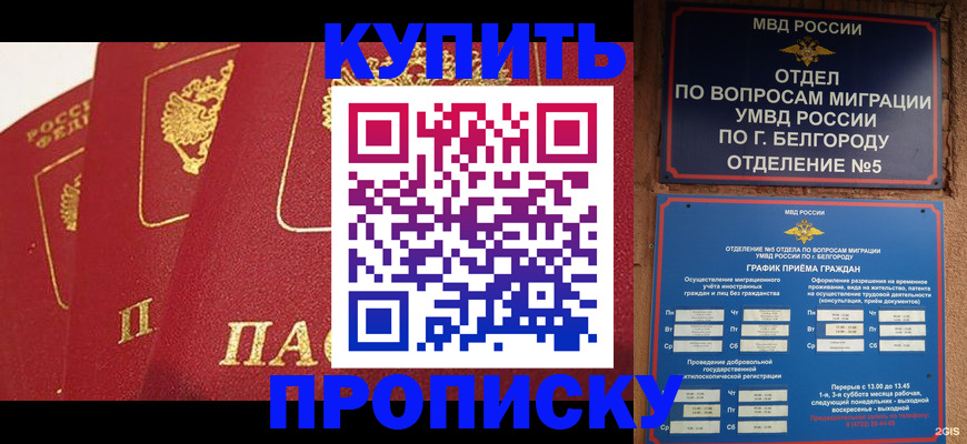 прописка для школы в Твери